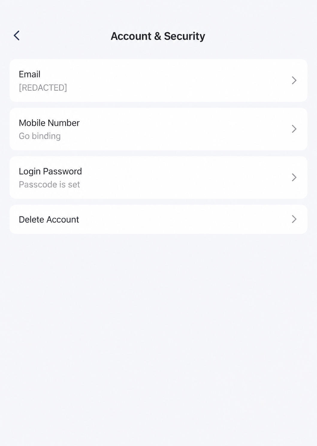 Review The Account Entries