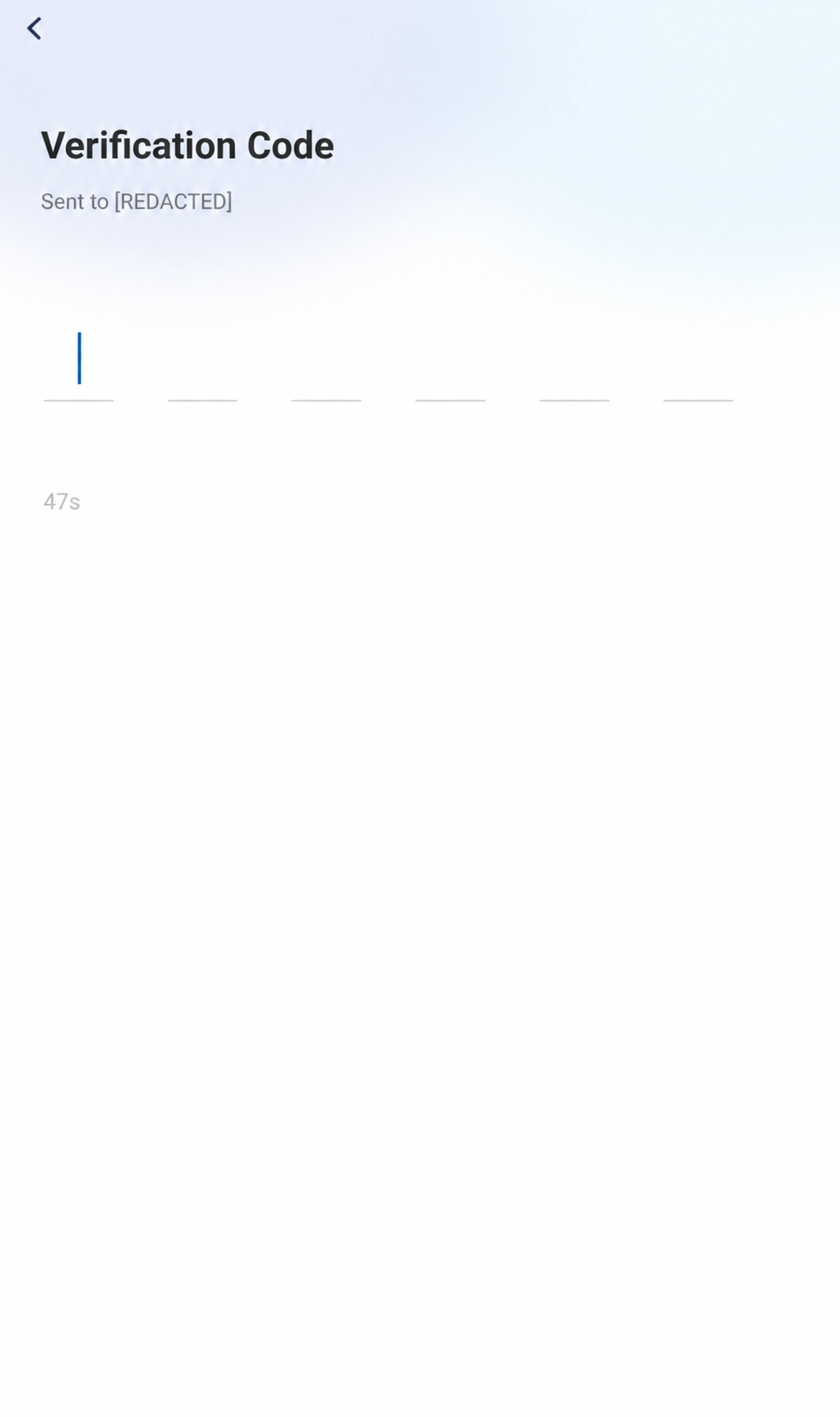 Find The Code Entry Boxes