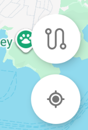 White Route button with a winding-route symbol.